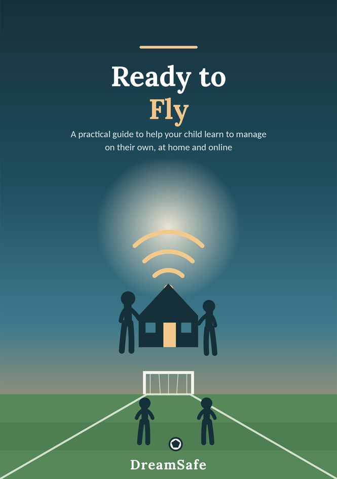 Cover of the book Ready to Fly - DreamSafe